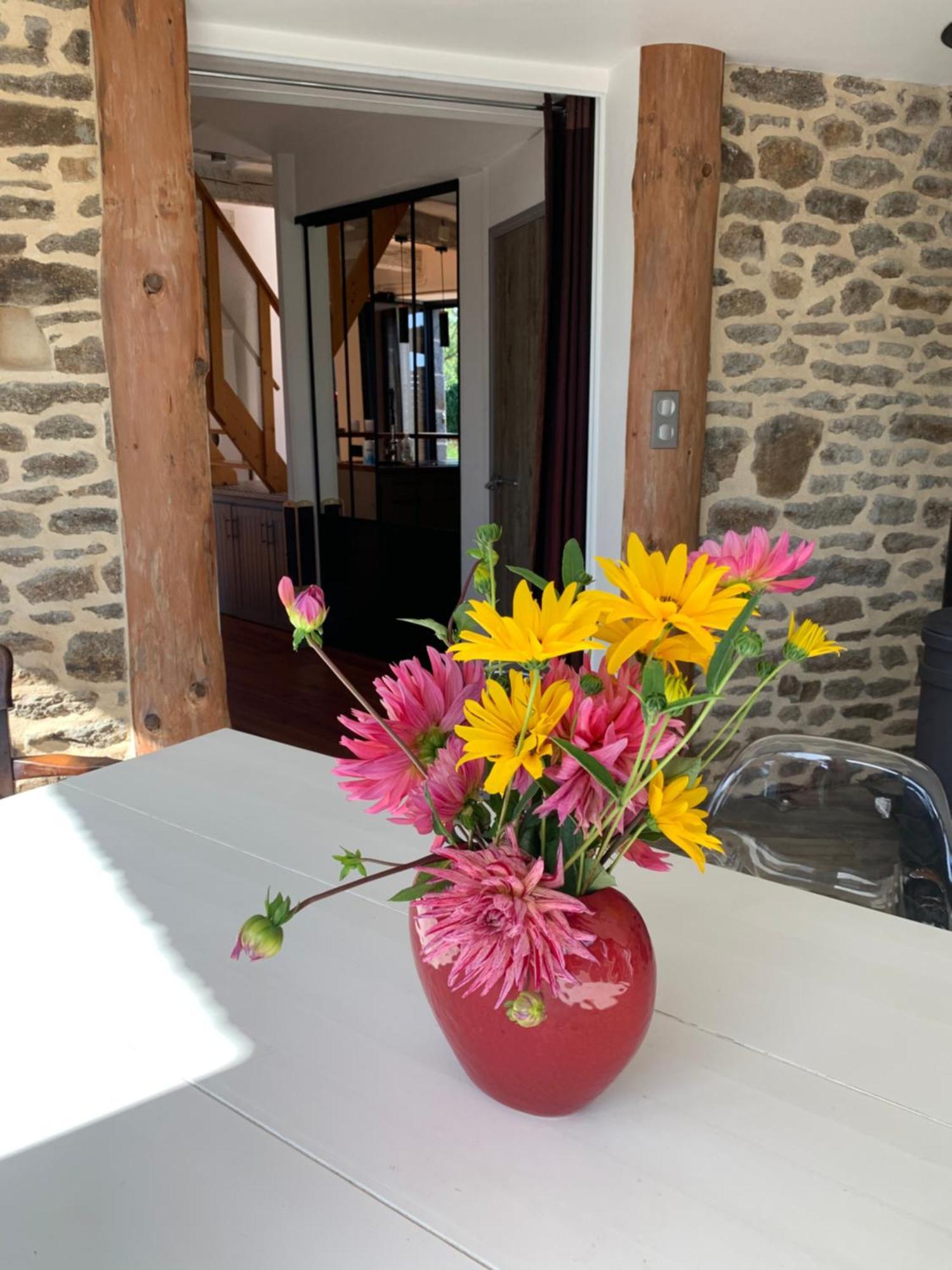 La Maison D'Aurelie Pleudihen-sur-Rance エクステリア 写真